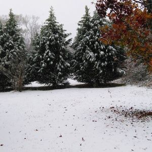 Meet your Posher, Gayle